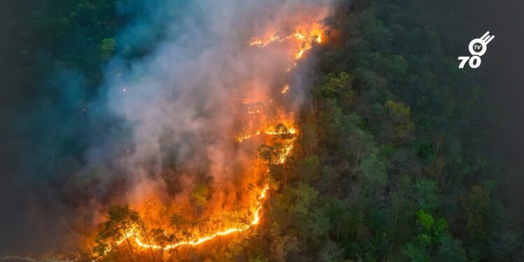 Incendios forestales mantienen la atención en Colombia ante posible intensificación de El Niño