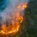 Incendios forestales mantienen la atención en Colombia ante posible intensificación de El Niño