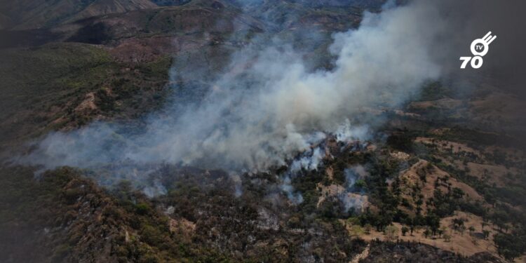 Tolima enfrenta 24 incendios forestales y más de 20.000 hectáreas afectadas
