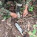 Ejército destruyó cuatro explosivos cerca de un camino veredal en Puerto Rondón
