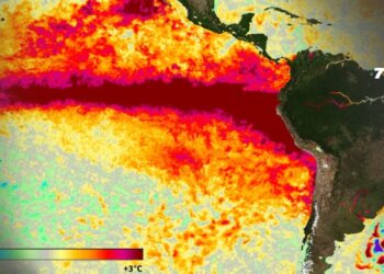 Estudio proyecta 451.000 muertes adicionales por calor durante el fenómeno de El Niño