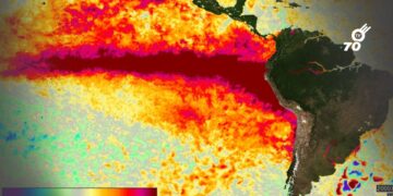 Estudio proyecta 451.000 muertes adicionales por calor durante el fenómeno de El Niño