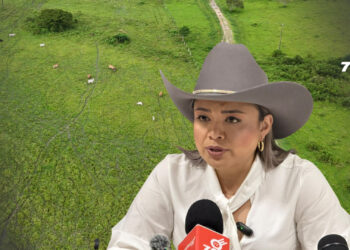 Directora de la ANT anuncia $15.000 millones para Arauca y denuncia presuntas irregularidades en la entidad