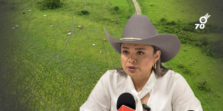Directora de la ANT anuncia $15.000 millones para Arauca y denuncia presuntas irregularidades en la entidad